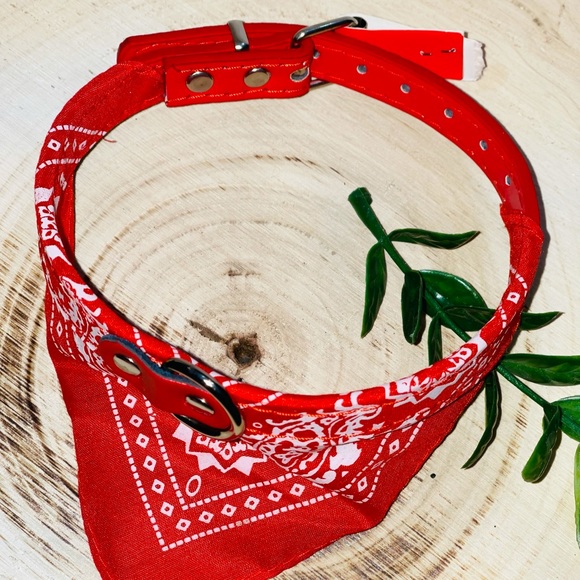 Brandera dog or cat collar for small to medium - Picture 3 of 7